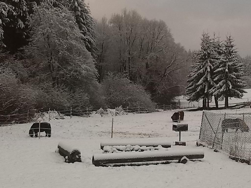Muehlenhof Stadtkyll Exterior foto